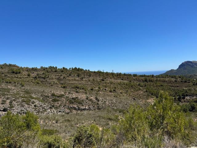 Terreno, Llíber