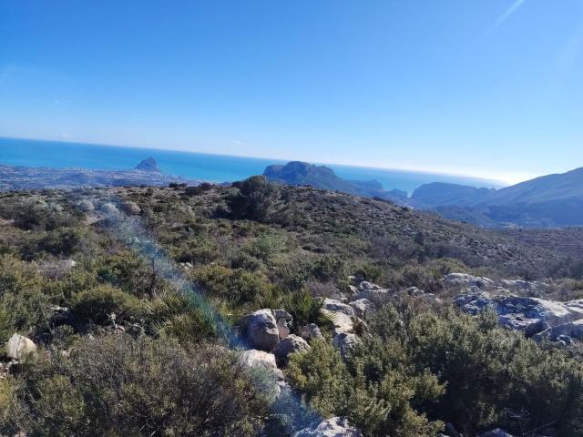 Terreno, Llíber