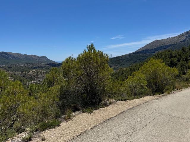 Terreno, Llíber