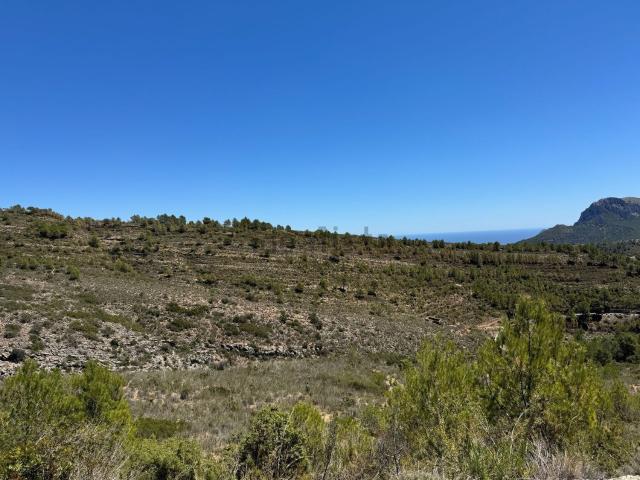 Terreno, Llíber