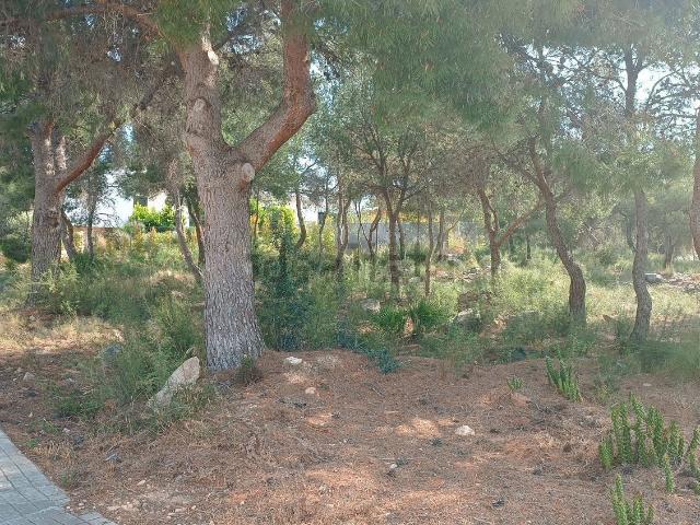 Terreno, Llíria