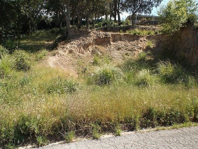 Terreno, Lloret Blau La Creu de Lloret, Lloret de Mar