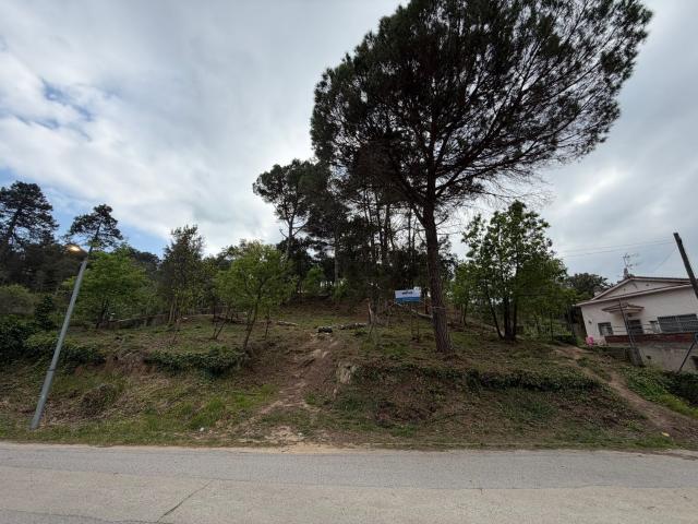 Terreno, Lloret Blau La Creu de Lloret, Lloret de Mar