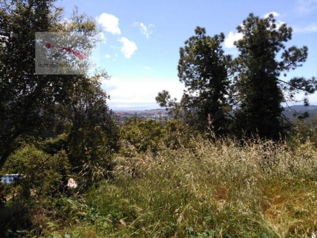 Terreno, Lloret Blau La Creu de Lloret, Lloret de Mar