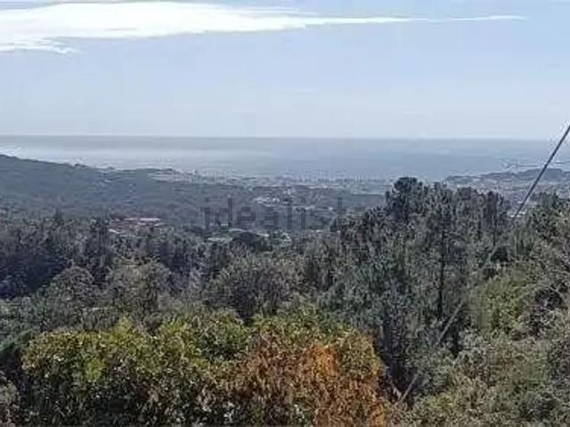 Terreno, Lloret Blau La Creu de Lloret, Lloret de Mar