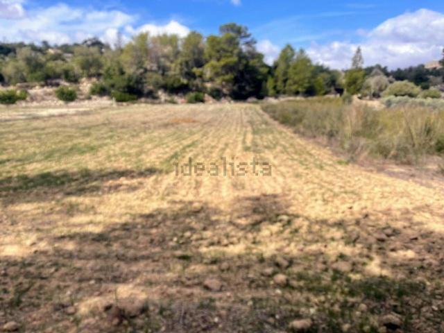 Terreno, Lloret de Vista Alegre