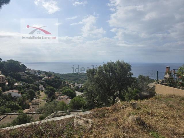 Terreno, Lloret de Mar