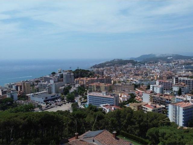Terreno, Lloret de Mar