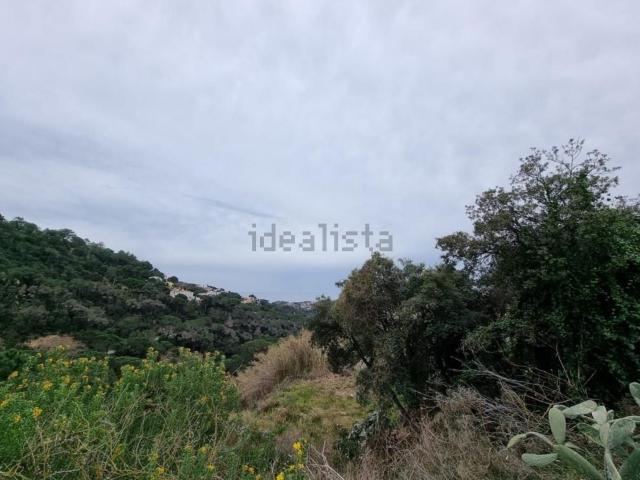 Terreno, Lloret de Mar