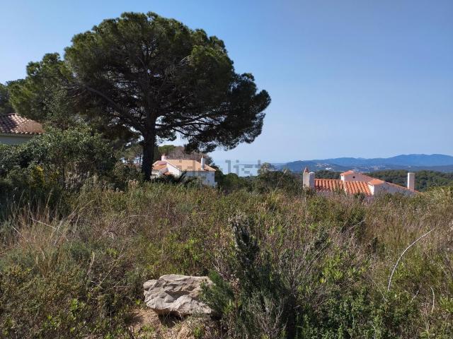 Terreno, Lloret de Mar