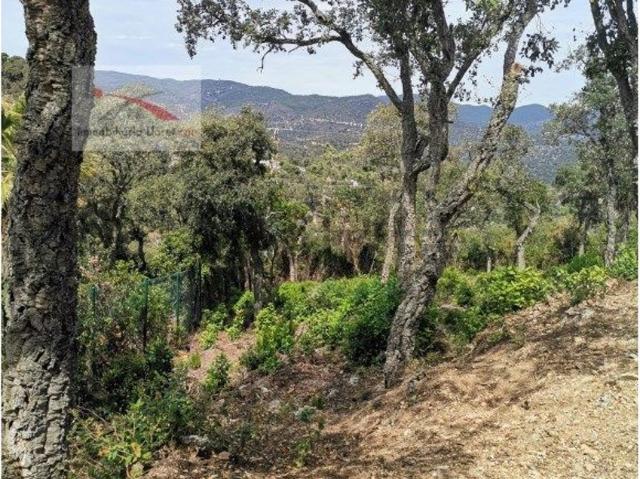Terreno, Lloret de Mar
