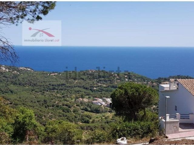 Terreno, Lloret de Mar