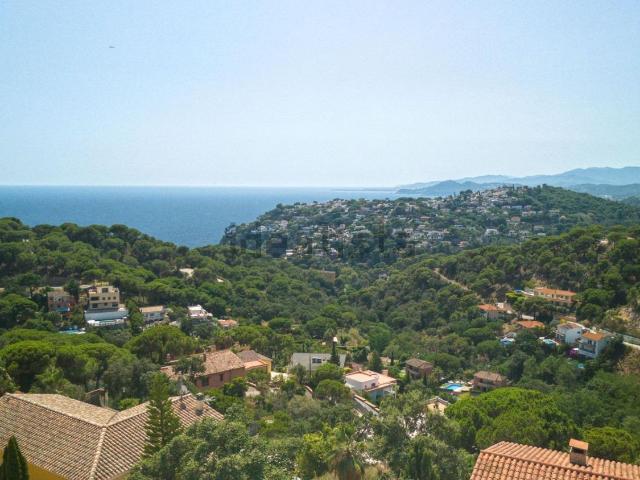 Terreno, Lloret de Mar