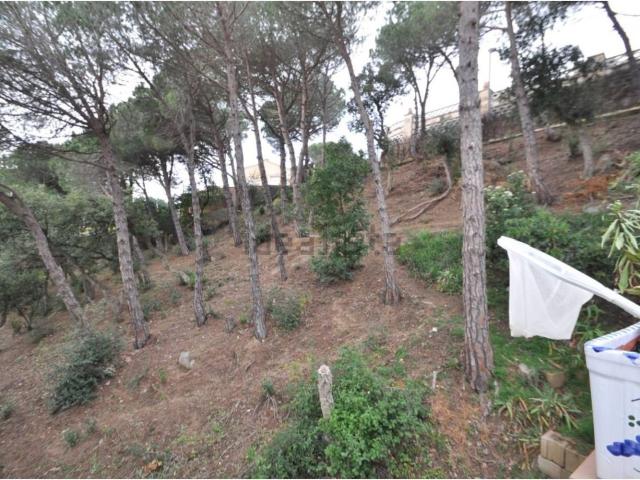 Terreno, Lloret de Mar