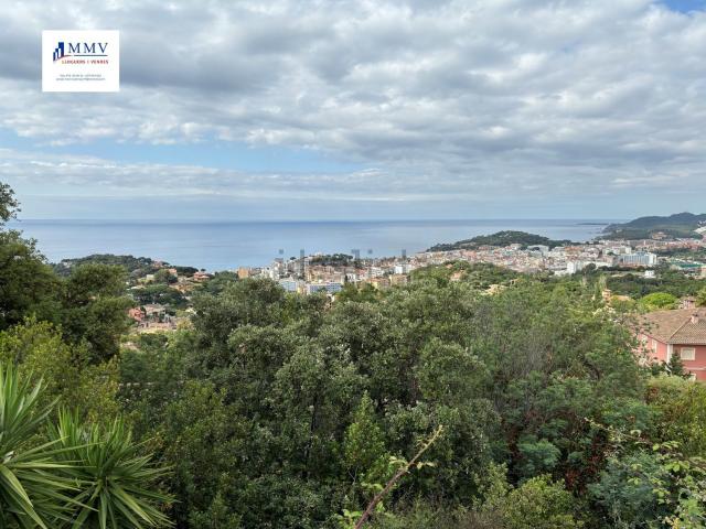 Terreno, Lloret de Mar