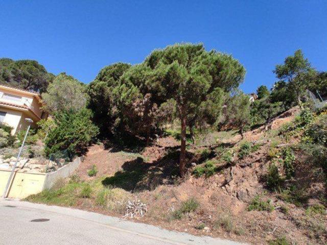 Terreno, Lloret de Mar