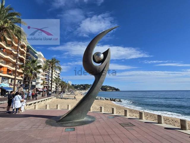 Terreno, Lloret de Mar
