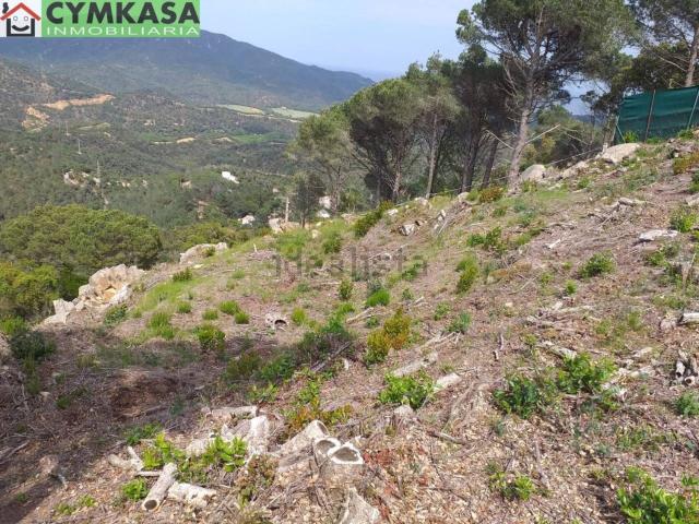 Terreno, Lloret de Mar