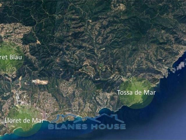 Terreno, Lloret de Mar