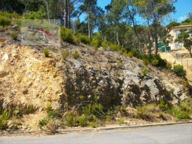 Terreno, Lloret de Mar