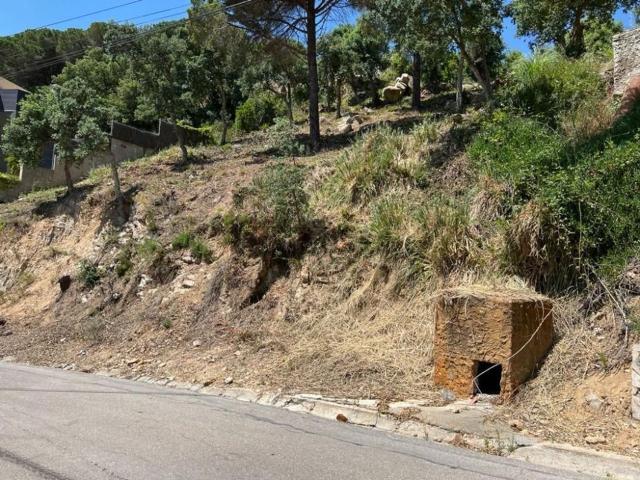 Terreno, Lloret de Mar