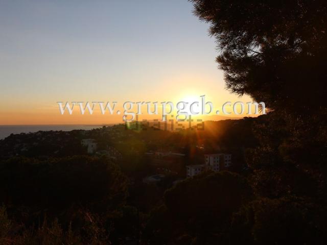 Terreno, Lloret de Mar