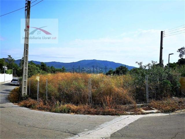 Terreno, Lloret de Mar