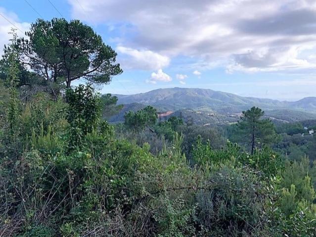 Terreno, Lloret de Mar