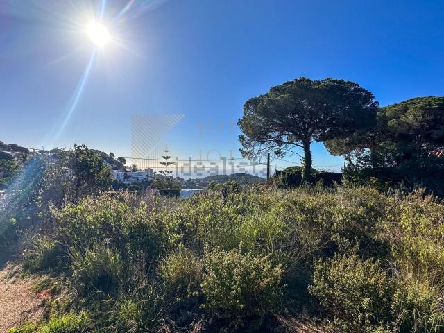 Terreno, Lloret de Mar