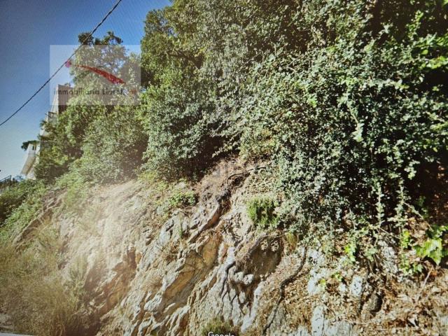 Terreno, Lloret de Mar