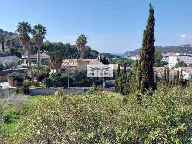 Terreno, Lloret de Mar