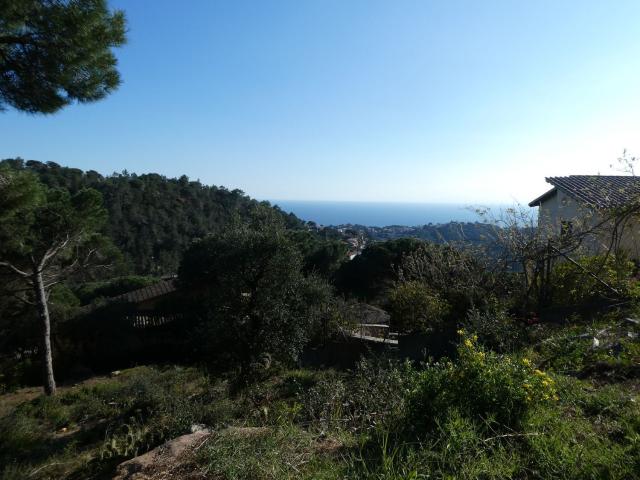 Terreno, Lloret de Mar