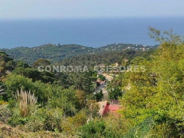 Terreno, Lloret de Mar