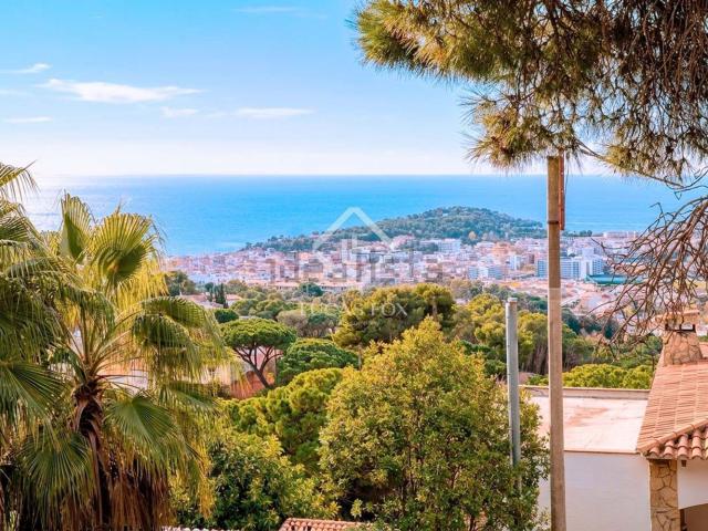 Terreno, Lloret de Mar
