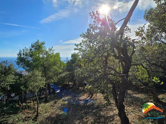 Terreno, Lloret de Mar