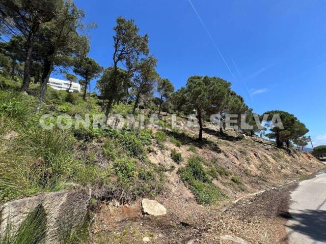 Terreno, Lloret de Mar