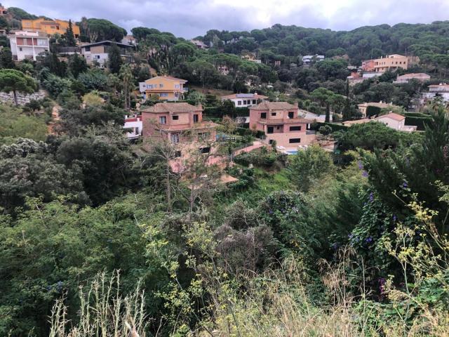 Terreno, Lloret de Mar