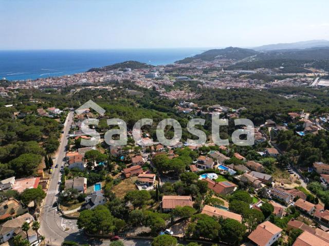 Terreno, Lloret de Mar