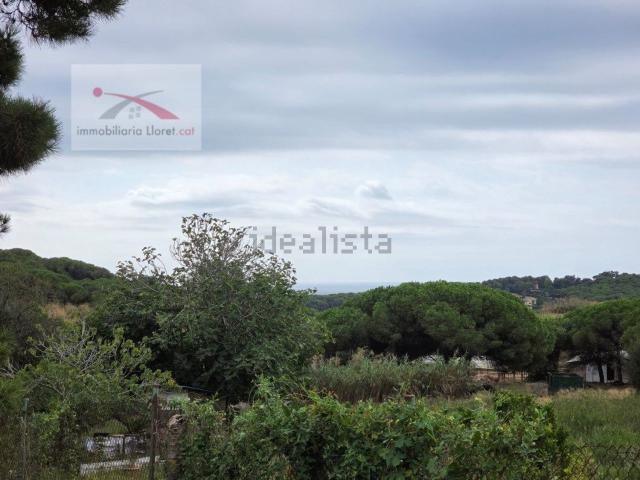 Terreno, Lloret de Mar