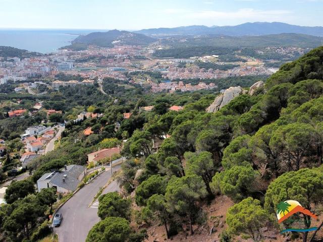 Terreno, Lloret de Mar