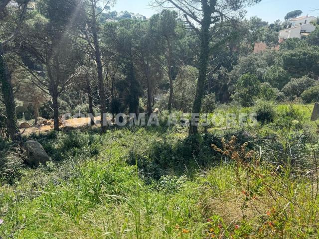 Terreno, Lloret de Mar