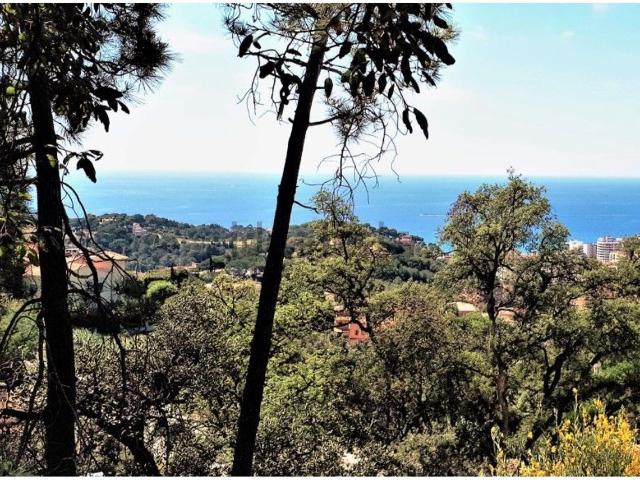 Terreno, Lloret de Mar