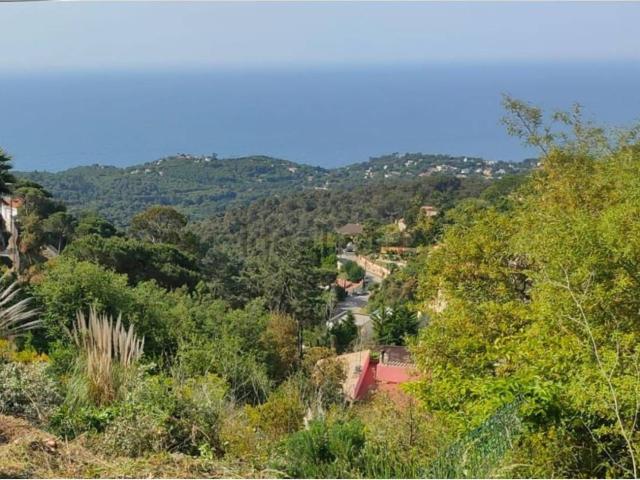 Terreno, Lloret de Mar