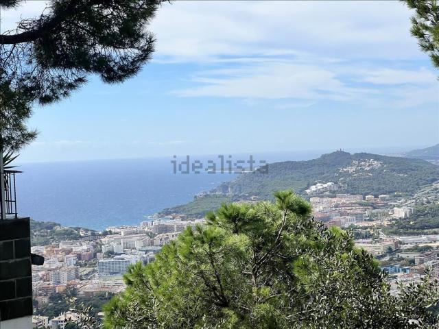 Terreno, Lloret de Mar