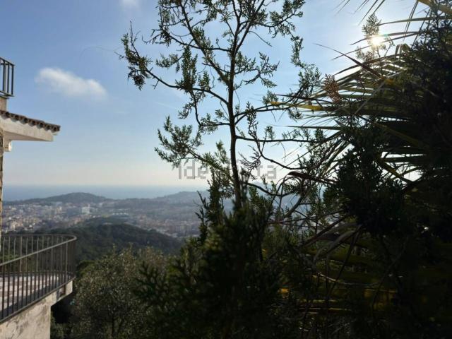 Terreno, Lloret de Mar