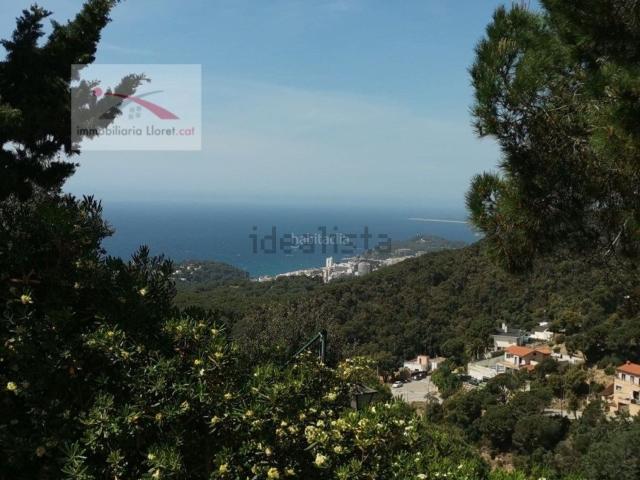 Terreno, Lloret de Mar