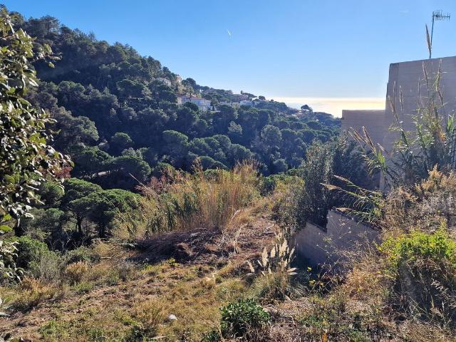 Terreno, Lloret de Mar
