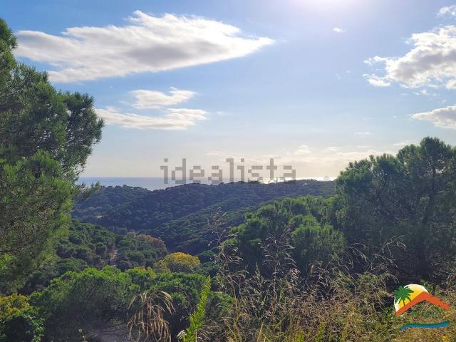 Terreno, Lloret de Mar