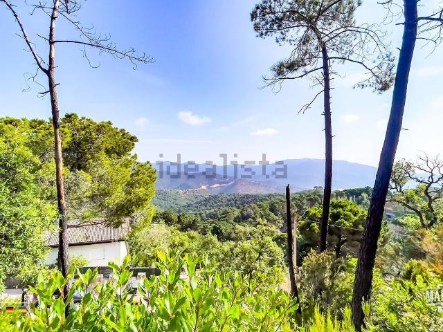Terreno, Lloret de Mar