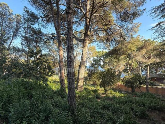 Terreno, Lloret de Mar